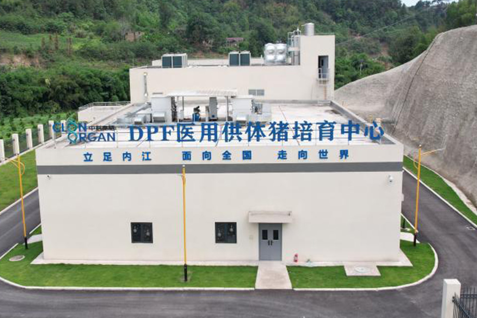 China's Leading Xenotransplantation Enterprise