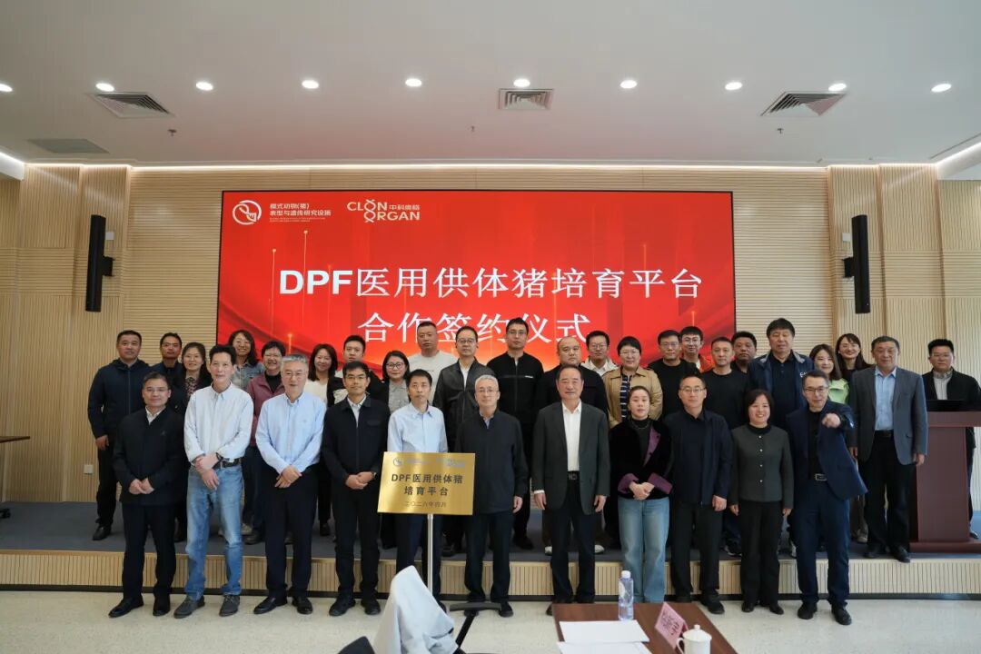 中科奥格携手中国农大共建DPF医用供体猪培育平台，加速异种移植京津冀布局