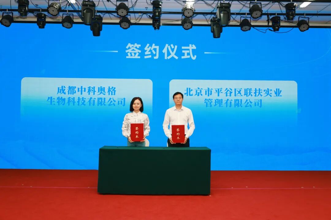 中科奥格携手北京平谷区，打造异种移植产业化新高地