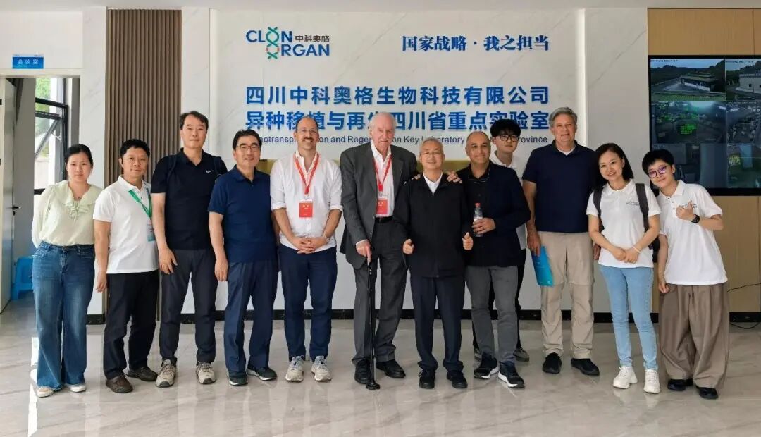 国际国内专家联手异种移植手术！中科奥格架起异种移植临床转化合作交流桥梁